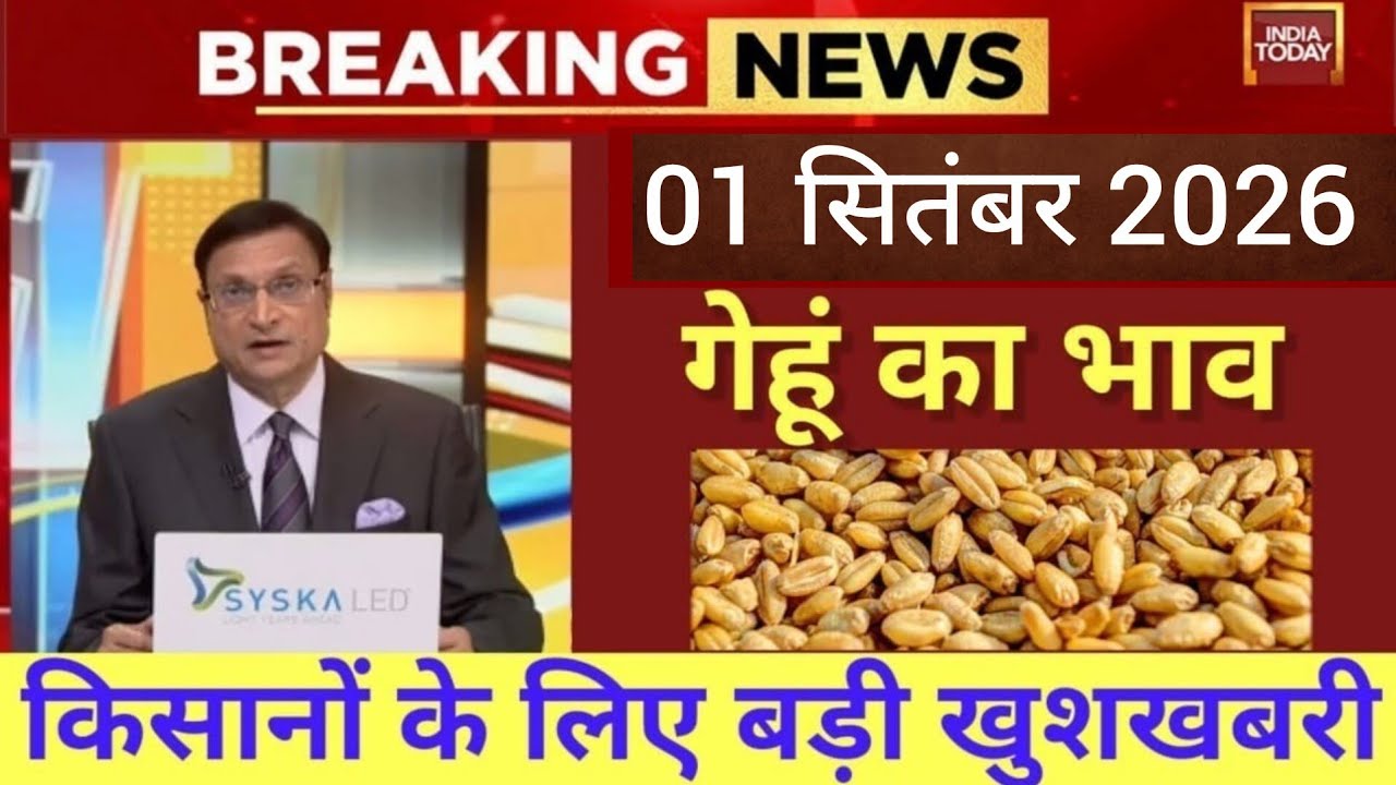 05 मार्च 2026 Gehun Ka Bhav आज का गेहूं का भाव । गेहूं के भाव में आई  आज तेजी । गेहूं का भा1व
