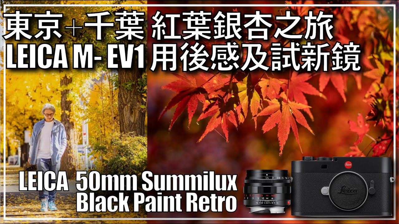 LEICA M-EV1用後感及新鏡 Leica Summilux 50mm Summilux Black Paint Retro Edition 東京千葉 - 紅葉銀杏之旅 