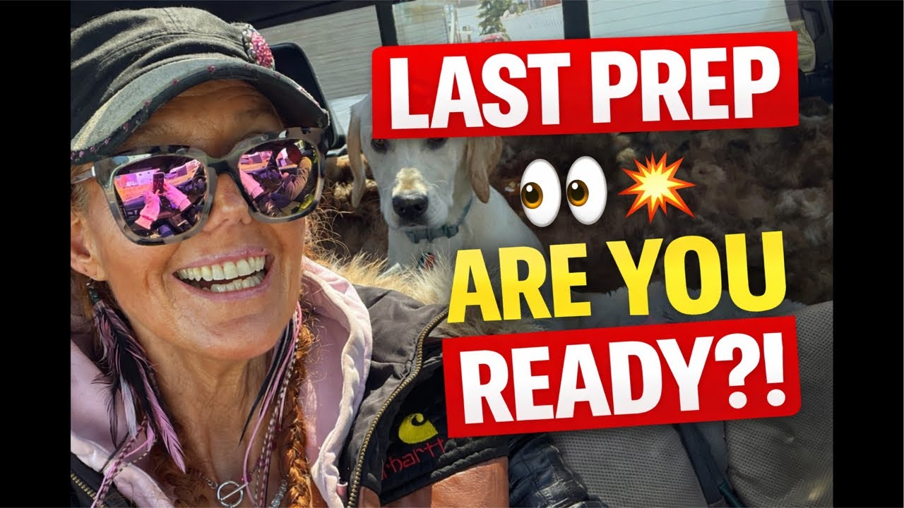 🚨 Replay: Number 9, God Signs, Iraqi Dinar + Zim Bond Talk 👀