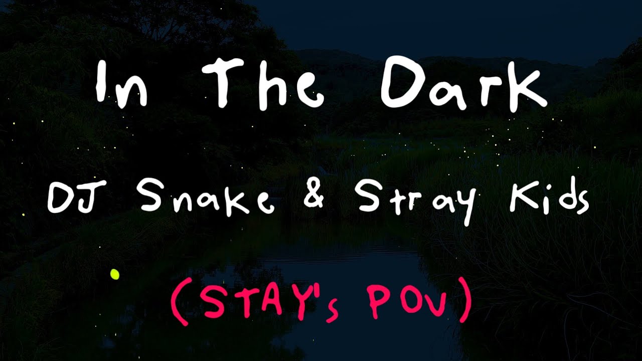 In The Dark by DJ Snake and Stray Kids (Stay's POV)  - Cover by Noor Marji