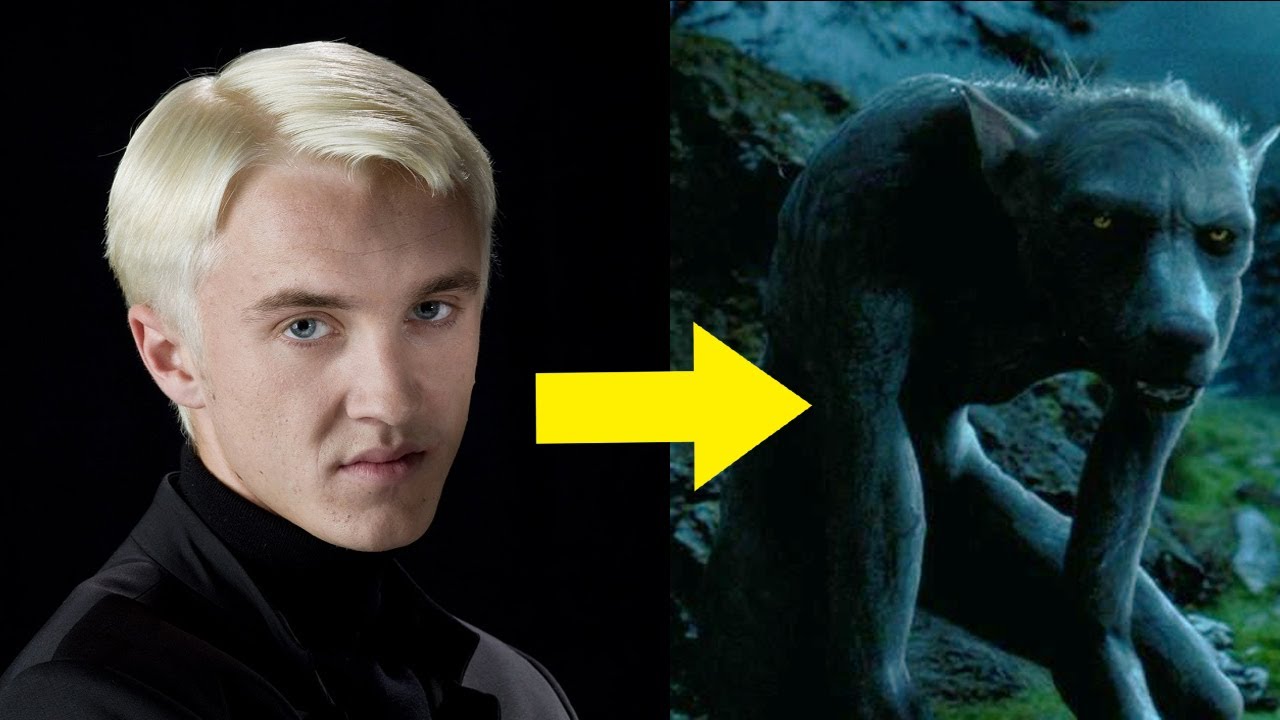 Czy Draco Malfoy jest Wilkołakiem?