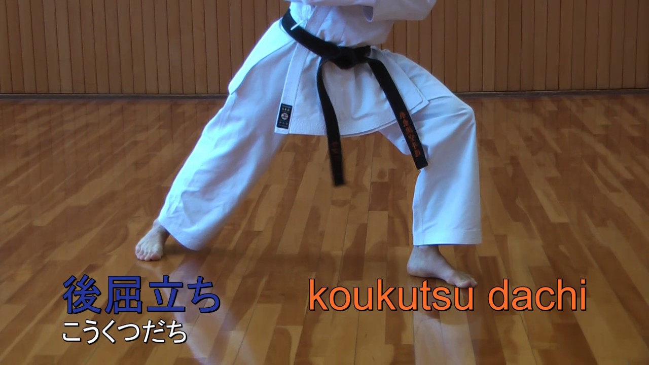 立ち技    tachi waza  // 糸東流空手道 Shito ryu karate do