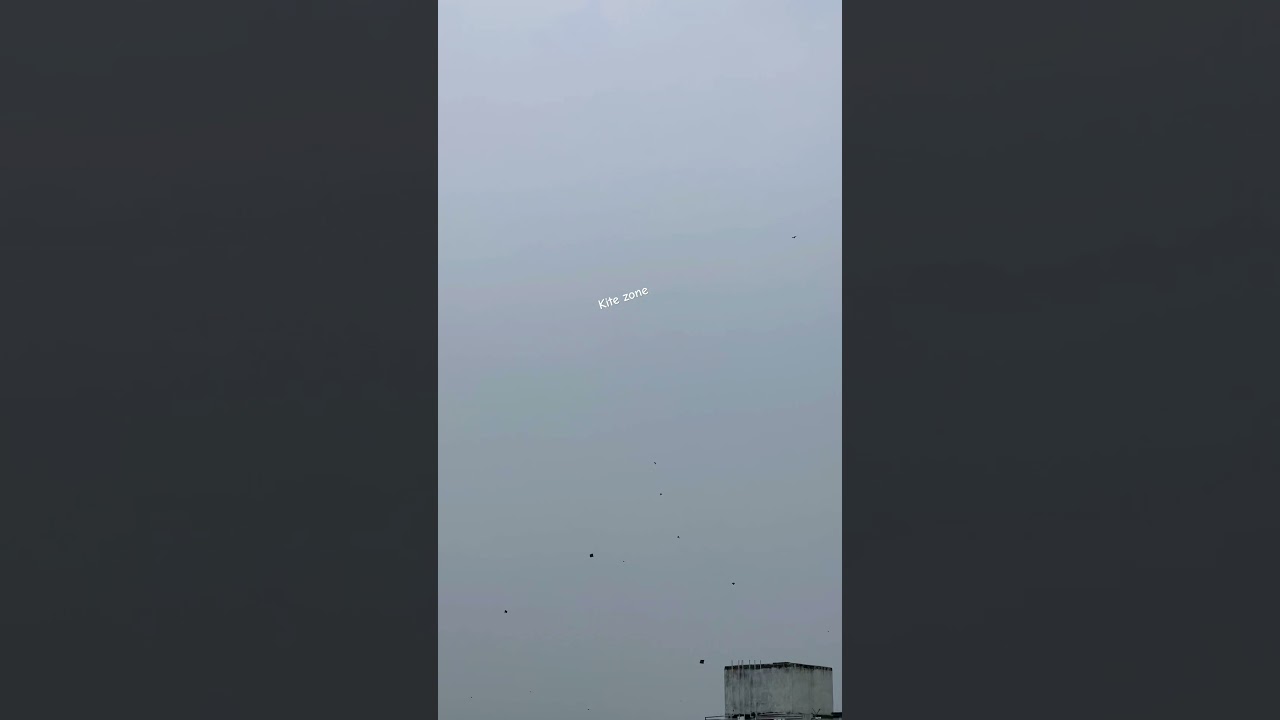 Thapki Wala Pech Dekhiye #kitezone #kitefighting #pech #patangbazi #kiteflying #kitecutting #shorts