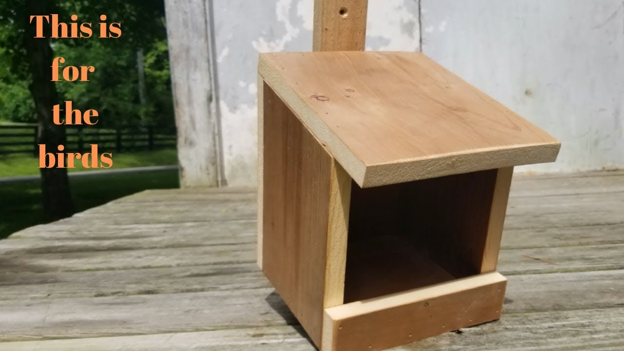 BIRD NESTING BOX!! EASY CONCEPT! EASY BUILD!