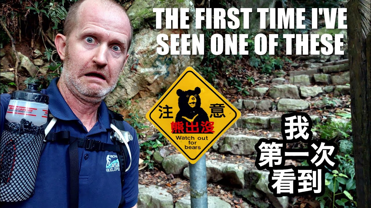 THE FIRST TIME I’VE EVER SEEN ONE OF THESE IN TAIWAN - Mt. Dongmao - Guguan | 我第一次看到 - 谷關七雄 東卯山