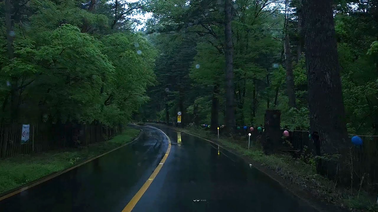 [4К. Rain Drive] Испытайте исцеление, бегая по глубокой лесной тропе под дождем. Звуки дождя.