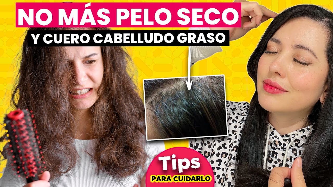 PIEL CABELLUDA GRASA Y PELO SECO, ¡NO MÁS CON ESTOS TIPS! 👩🏻‍⚕️👌🏻🤝🏻