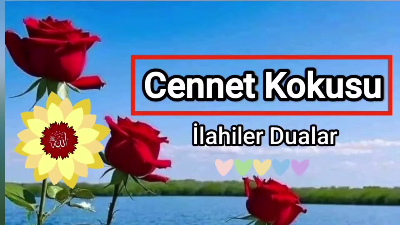 Bir çift turna gördüm kabe, Turnalar ilahisi yolunda Karışık ilahiler @SelimGENCER  ABDURRAHMAN ÖNÜL