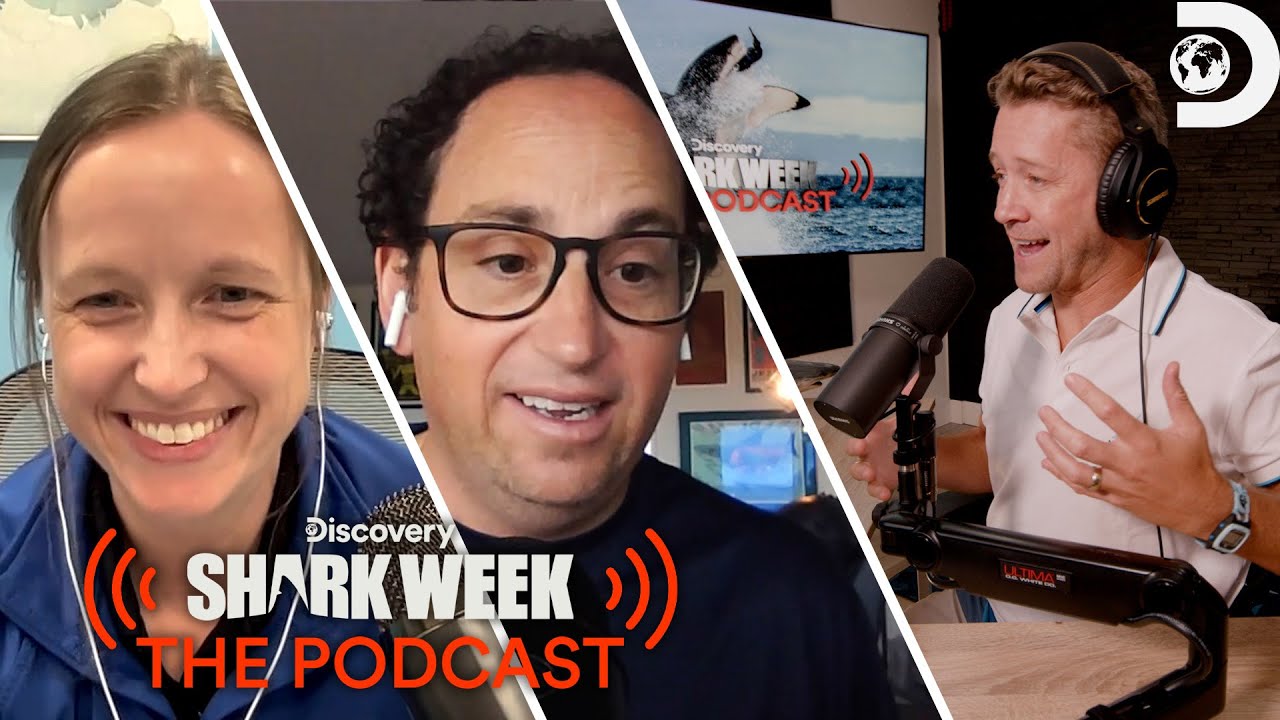 How To Have A Career in Shark Science | Shark Week: The Podcast