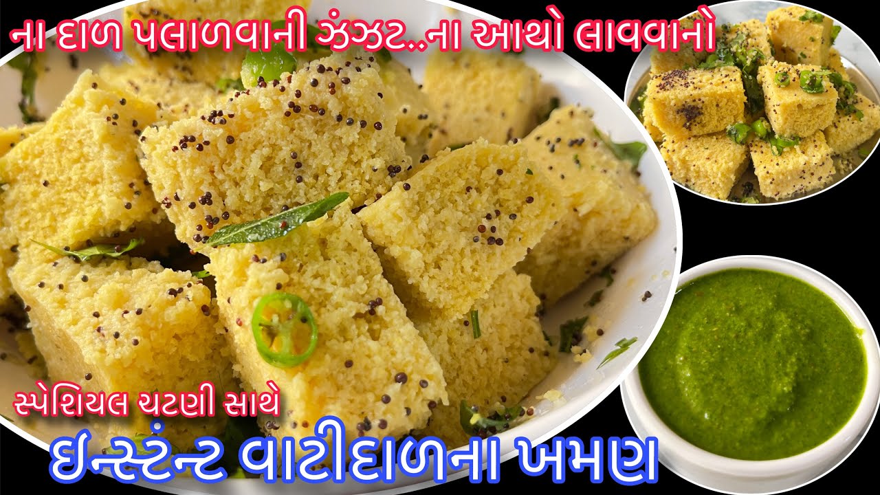 અચાનક મહેમાન આવે ત્યારે ઝટપટ બનાવો વાટીદાળના ઇન્સ્ટન્ટ ખમણ | Vati dal khaman | Instant Khaman Recipe