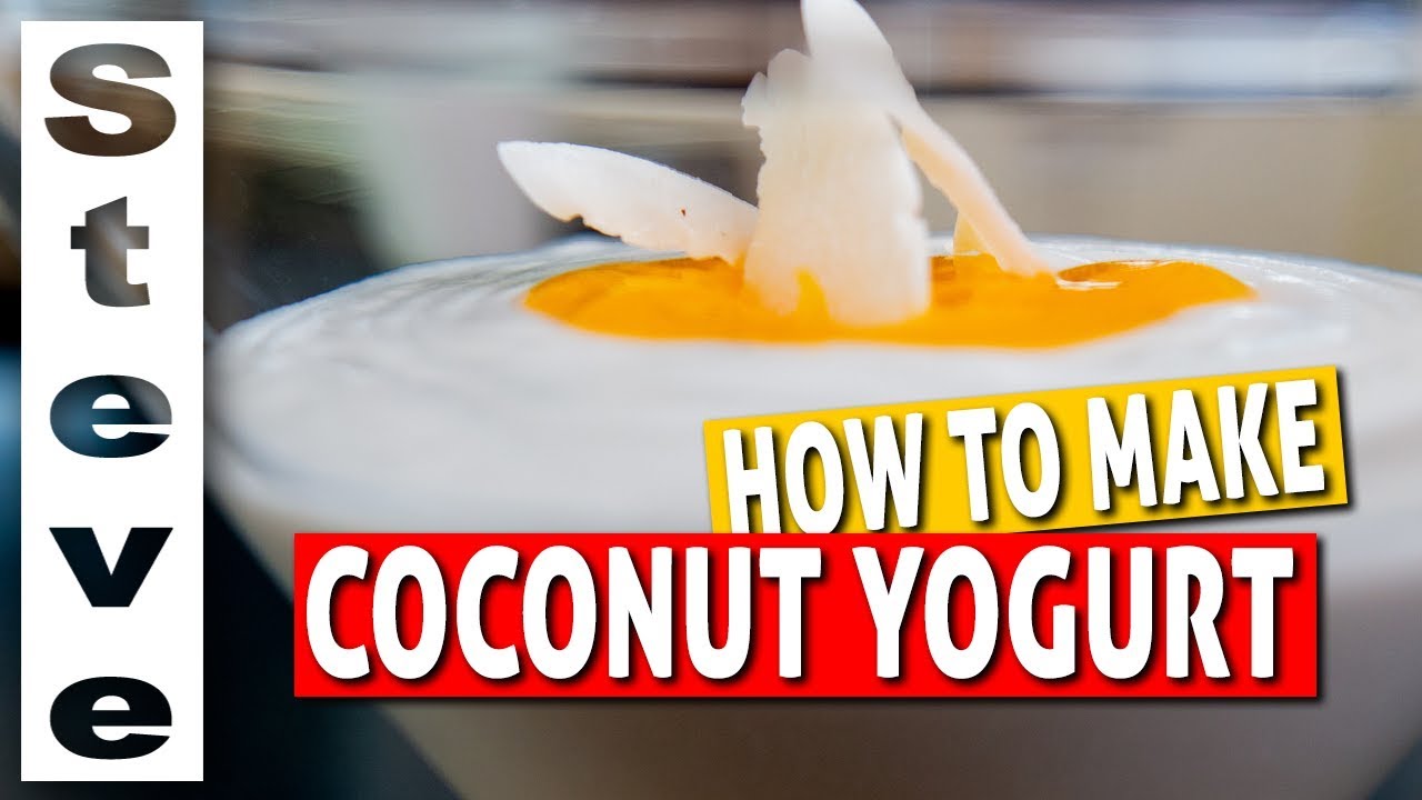 HOW TO MAKE COCONUT YOGURT - Homemade Probiotic Yogurt