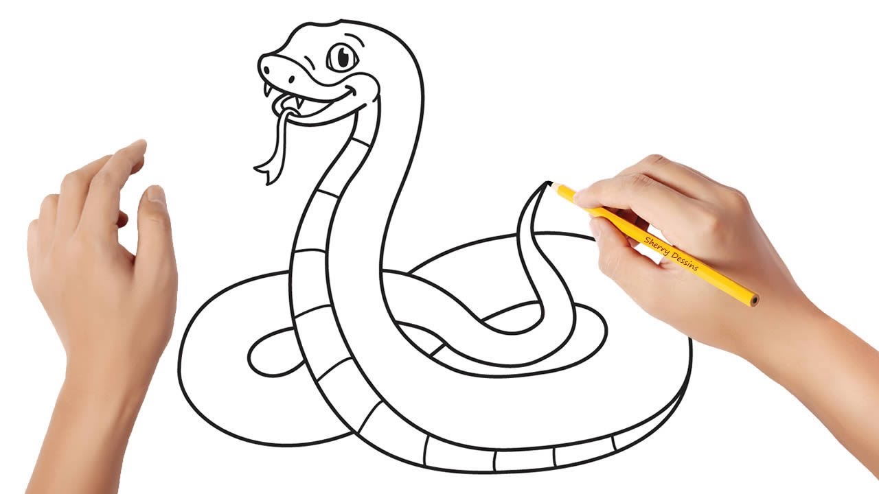 Comment dessiner un serpent