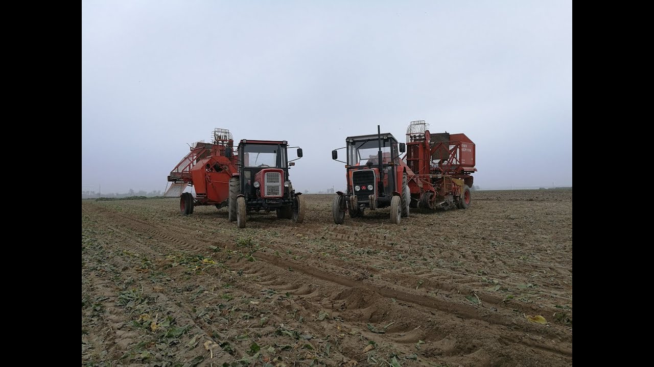 KAMPANIA BURACZANA 2018 2xNEPTUN MF 255 URSUS c360 NEW HOLLAND L65
