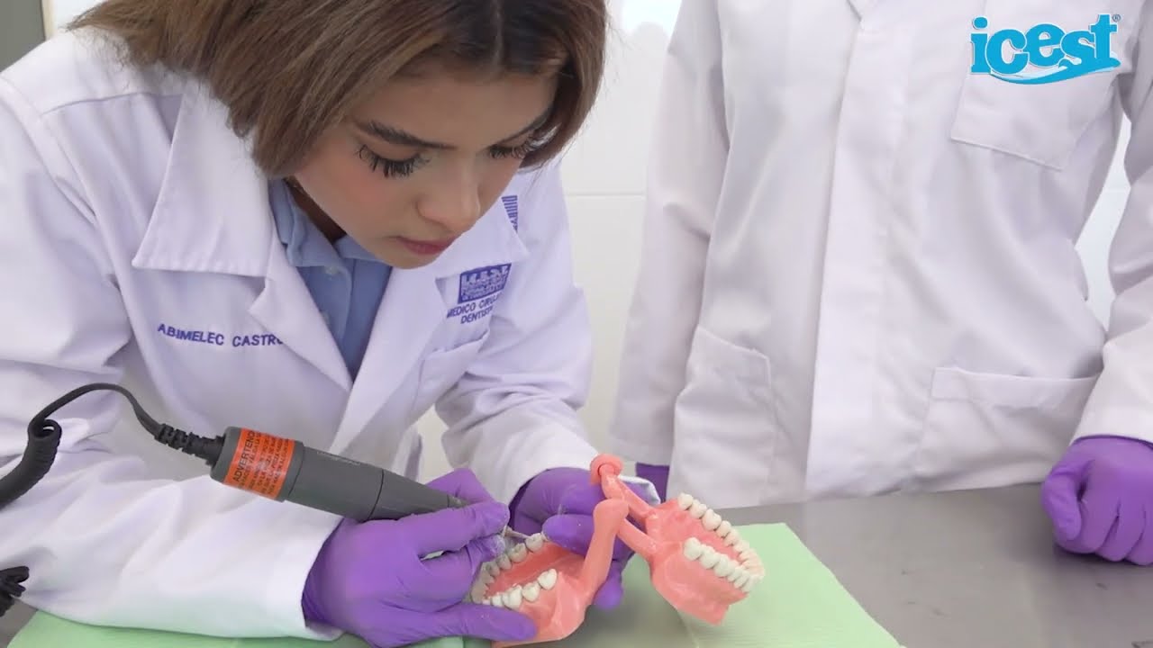 Conoce la Lic. en M&eacute;dico Cirujano Dentista de ICEST 🦷💙