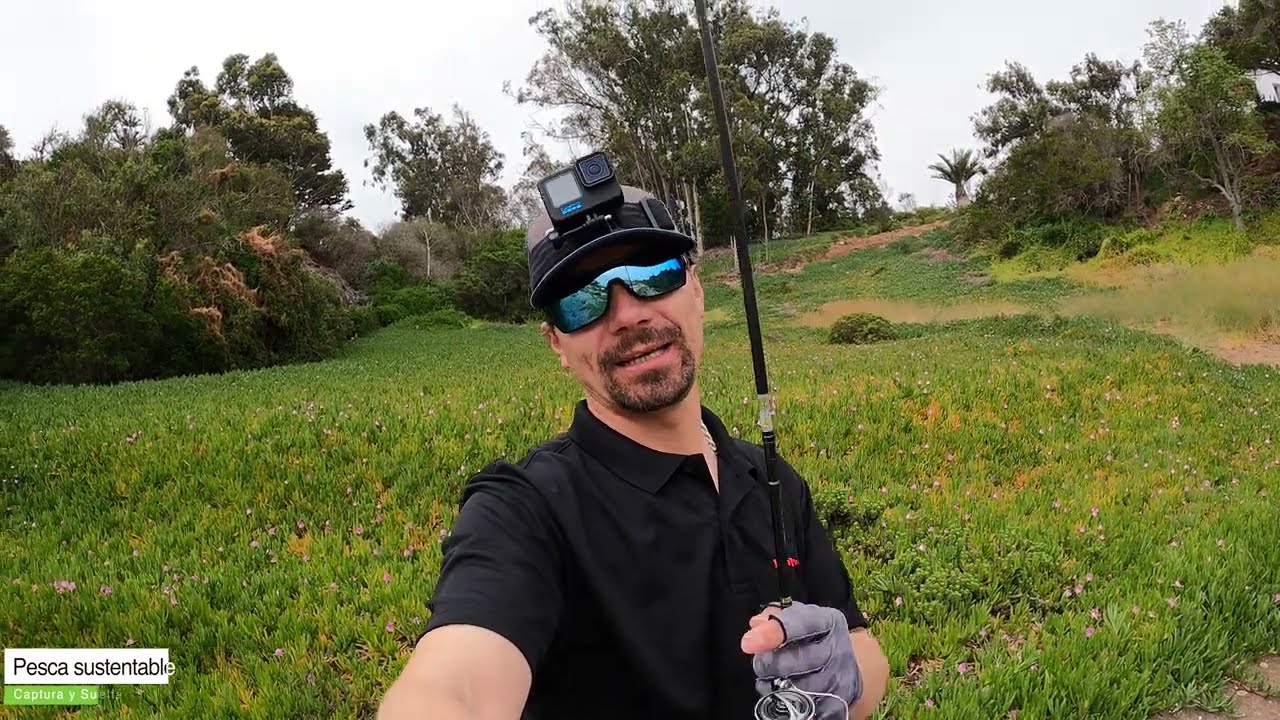 ¡¡¡ CAPTURA TODOS LOS PECES !!!