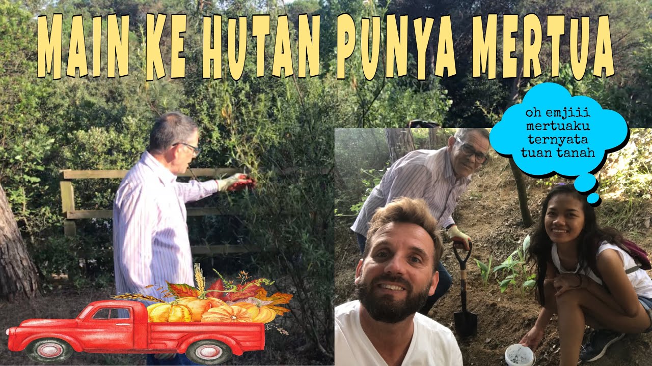 KEBUN TOUR  PUNYA MERTUA BULE DI SPANYOL, MERTUAKU PUNYA HUTAN GEESSS
