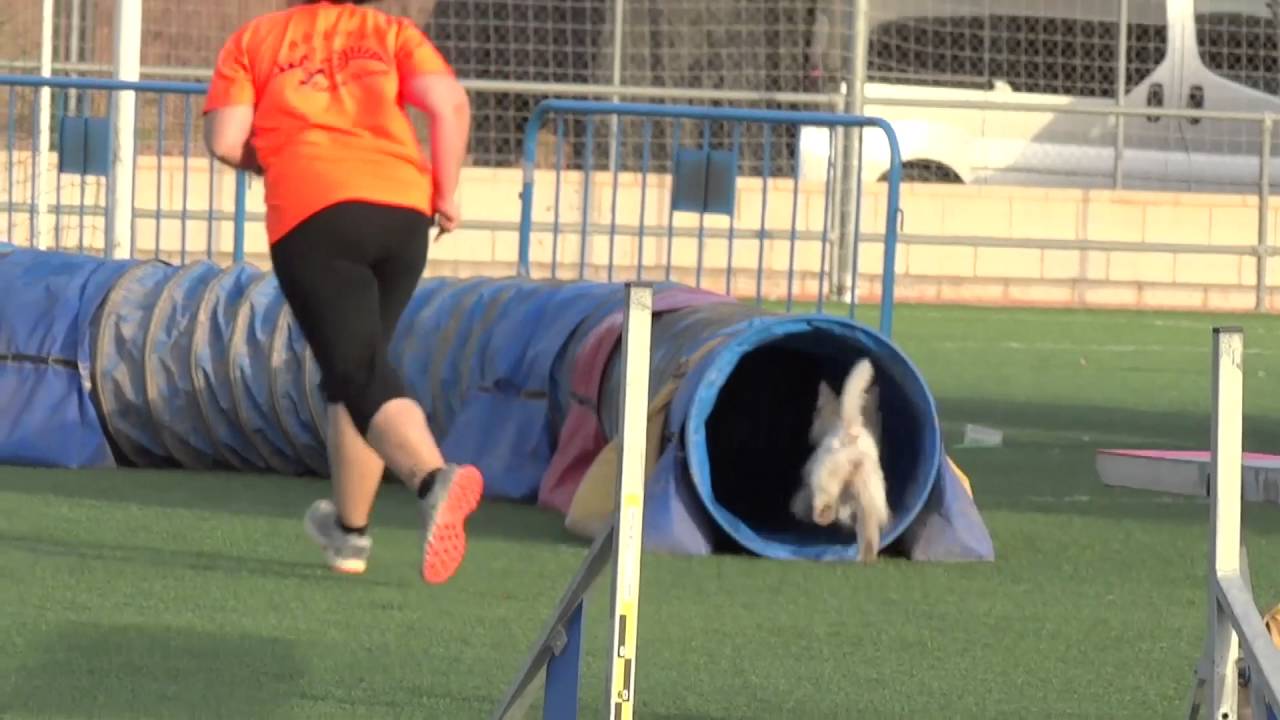 La Huella Agosto agility