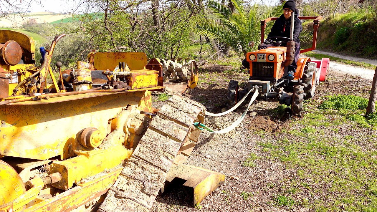 FACCIO A PEZZI IL CINGOLATO!