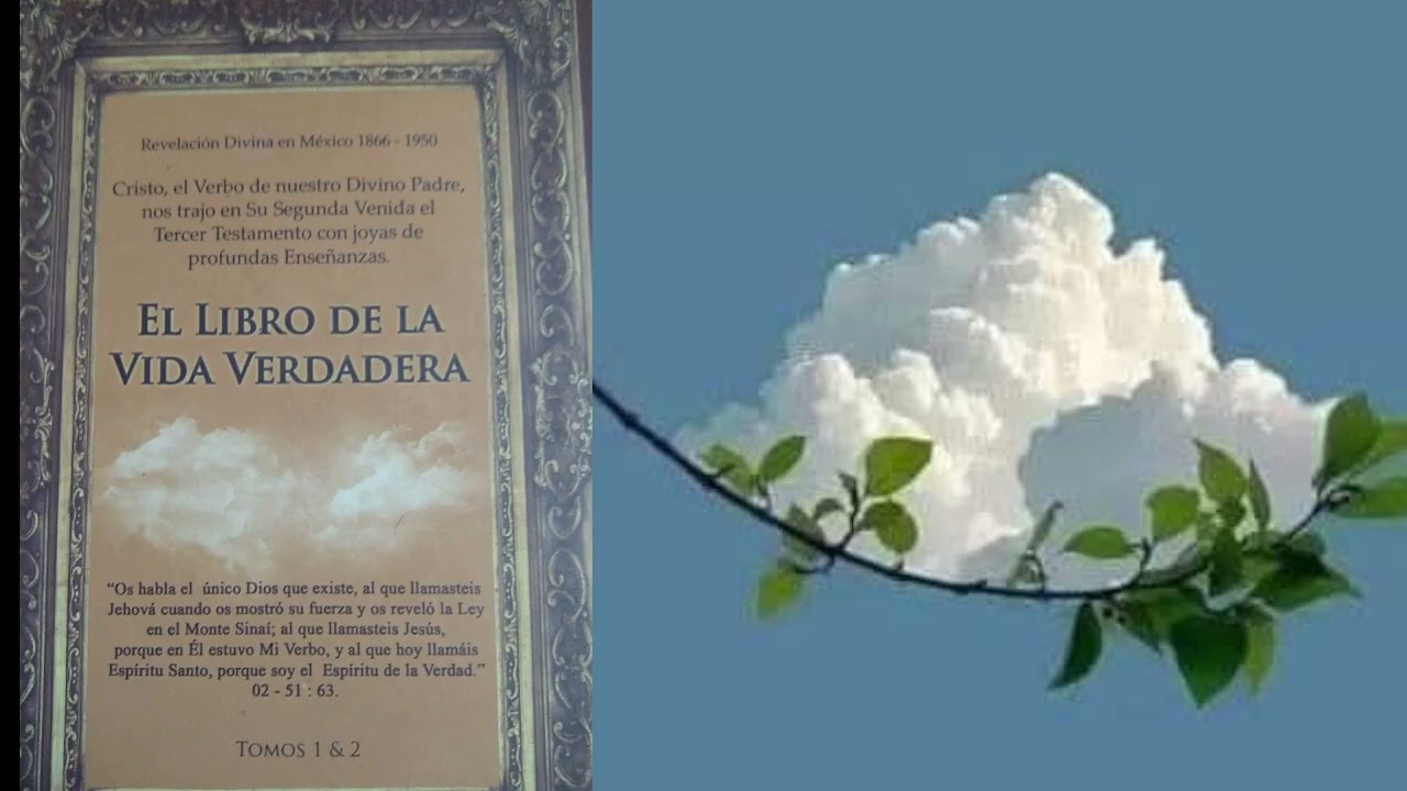 ANALISIS GRAL. TERNURA DIVINA Y NUESTRA MISION