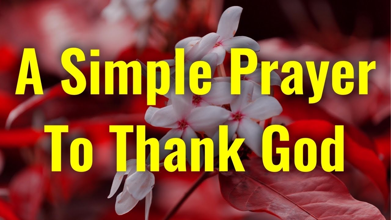Lord, Thank You for Your continued grace over my life. Please continue to answer my prayers when…