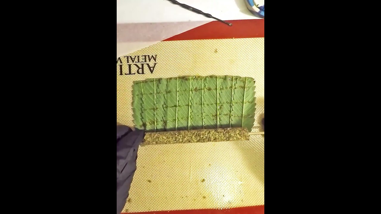 Step by step, rolling a cannagar #shorts