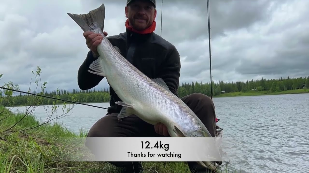 Salmon Fishing in Finland (Lohensoutu) 12.4kg