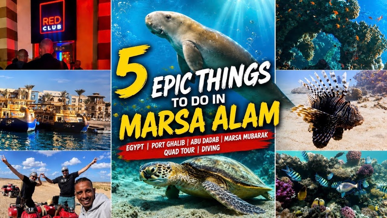 Marsa Alam, Egypt - Port Ghalib, Abu Dabab, Marsa Mubarak, Quad Tour, Diving