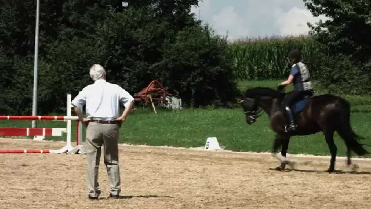 Butterfly® Sattel Michael Putz, dt saddlery, 2014