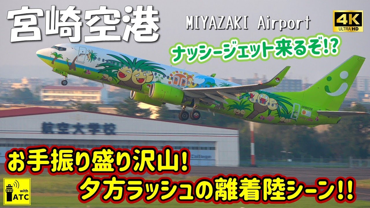 【宮崎空港】ナッシージェット来るぞ!? お手振り盛り沢山! 夕方ラッシュの離着陸シーン!! ～ Miyazaki Airport Landing & Takeoff (2024/9/4)