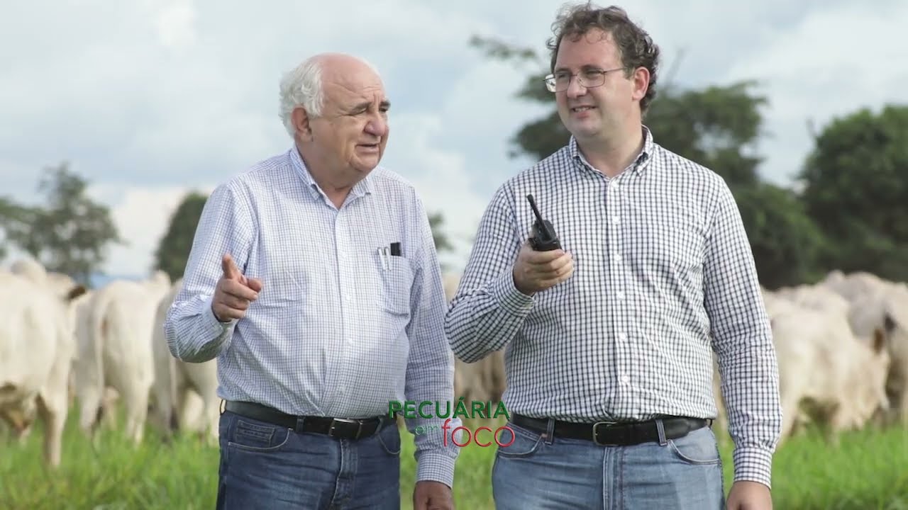 PECUÁRIA EM FOCO - LEILÃO O MELHOR DA MARCA JE 2022