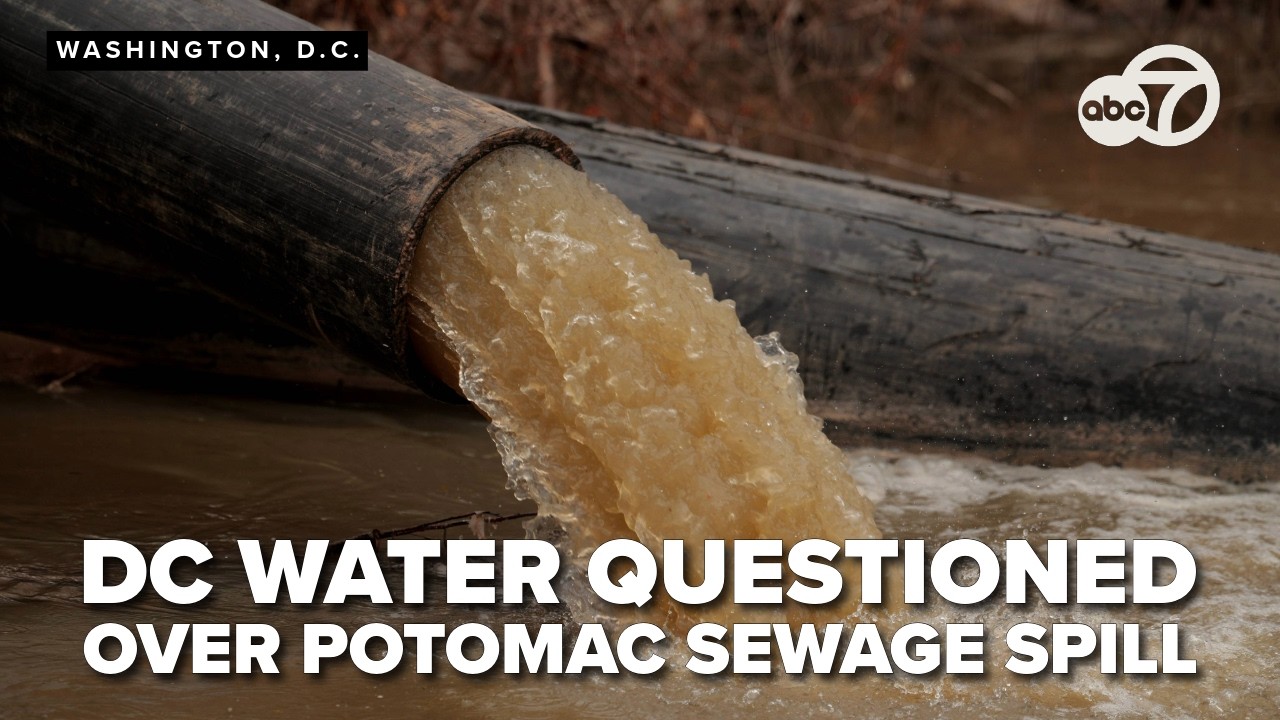 District leaders question DC Water over Potomac sewage spill