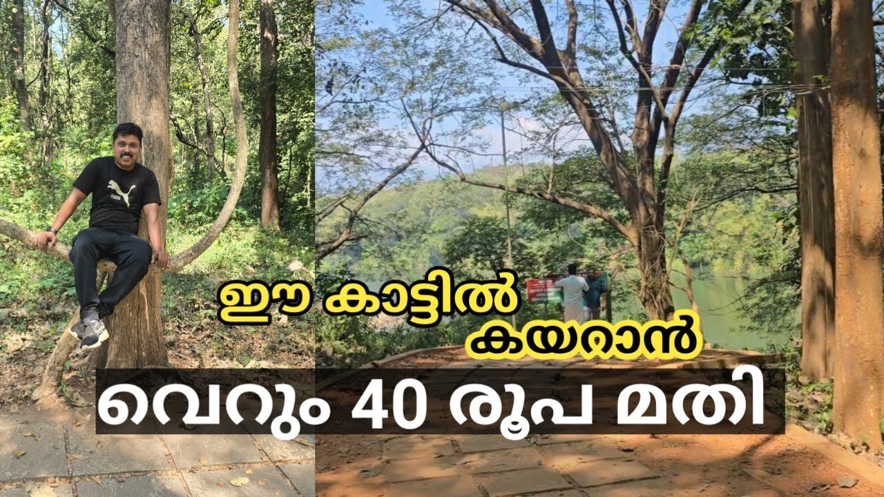 ഈ കാട്ടിൽ കയറാൻ വെറും 40 രൂപ മാത്രം മതി |  CONOLLY ECO TOURISM PLOT NILAMBUR