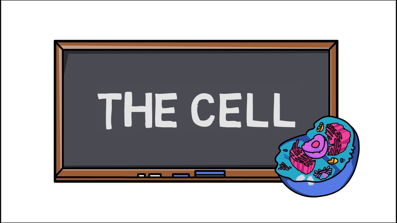 The Cell | Discovery of first Cell | Cell Theory |