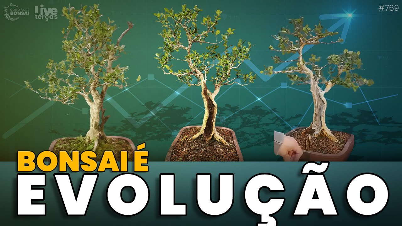 Porque um Bonsai Nunca esta Pronto?   |  LT 09 #769