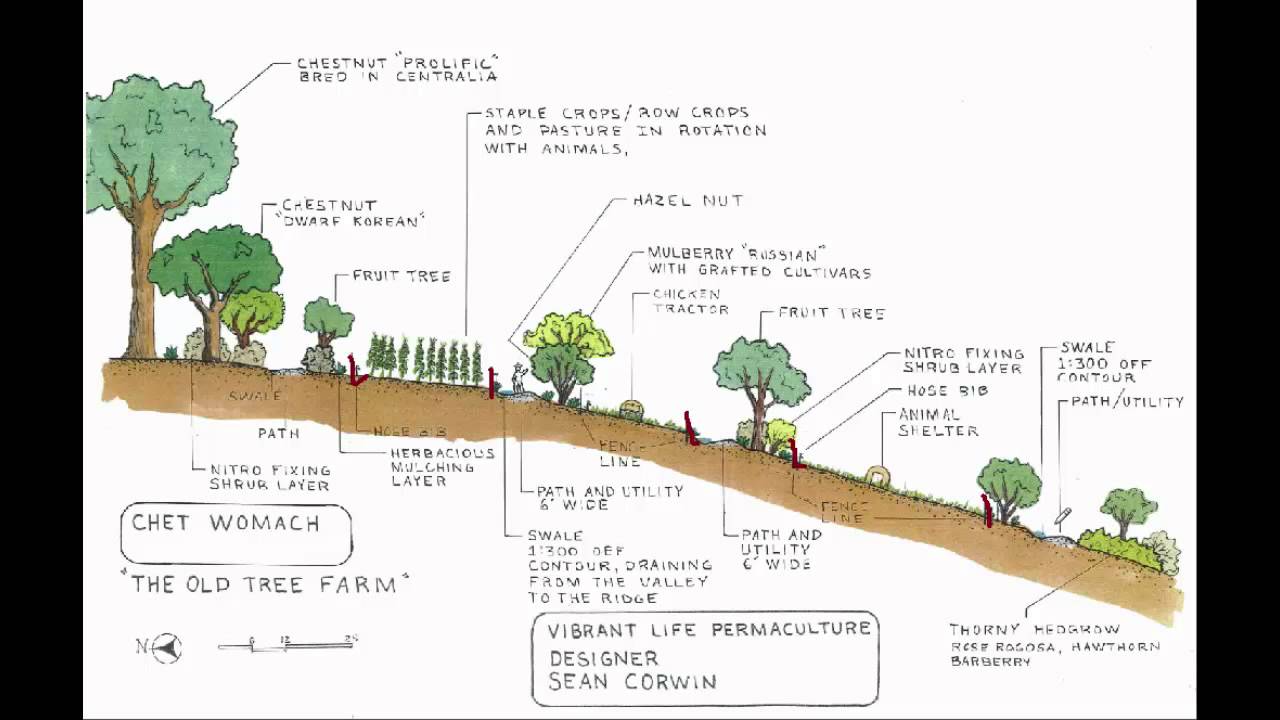 How To Build A Self Reliant Homestead