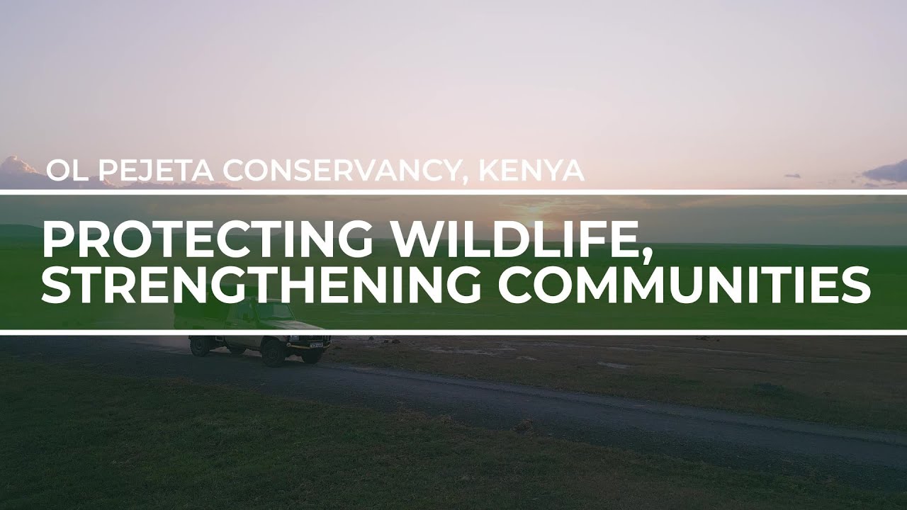 Protecting wildlife, strengthening communities | Ol Pejeta Conservancy | Travel Redefined