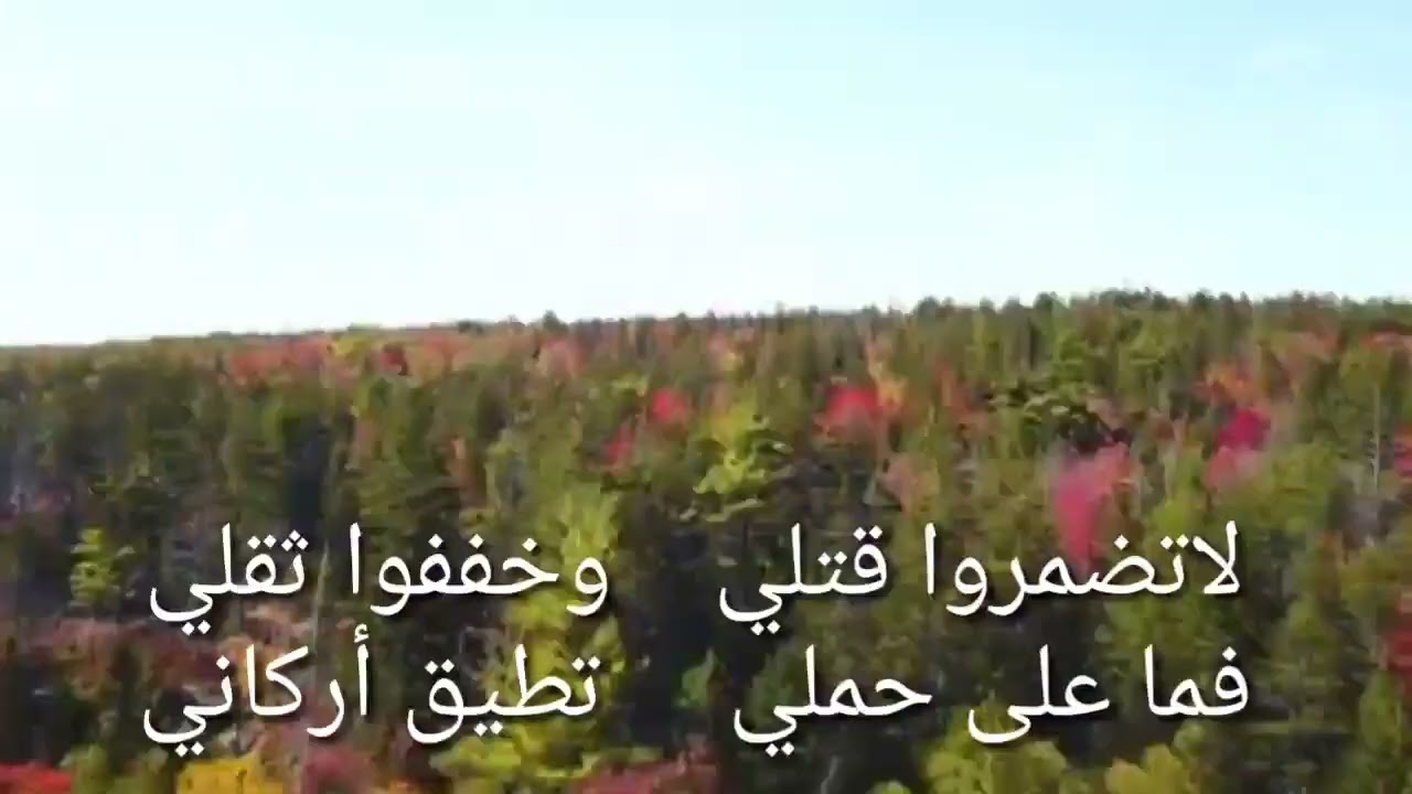 الله الله الله الله يا مولانا الله الله الله ربي أشرح لي صدري من كلام سيدي الشيخ احمد بن علوان