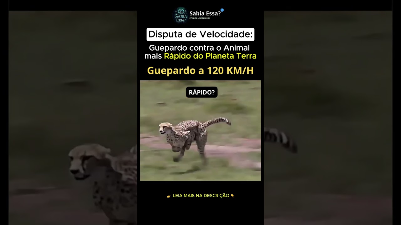 O GUEPARDO &Eacute; LENTO?! Veja o Animal Mais R&aacute;pido do MUNDO!