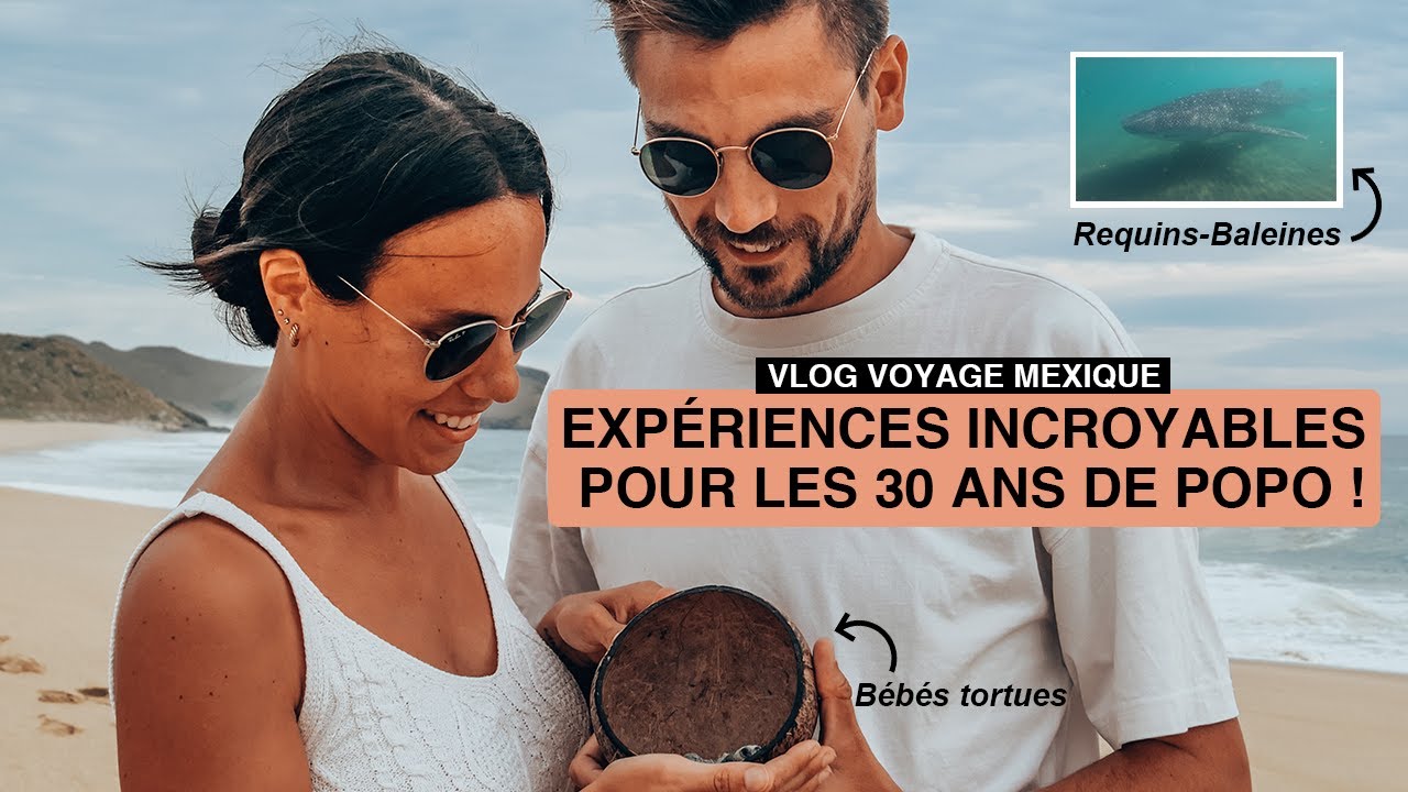 Tortues et requins baleines en Basse Californie (Vlog Voyage Mexique)