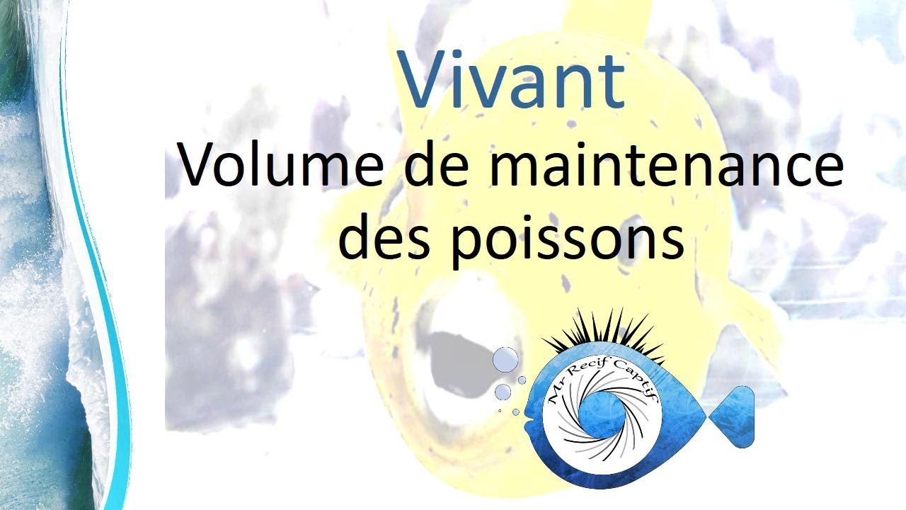 Volume de maintenance des poissons - Mr Recif Captif #265