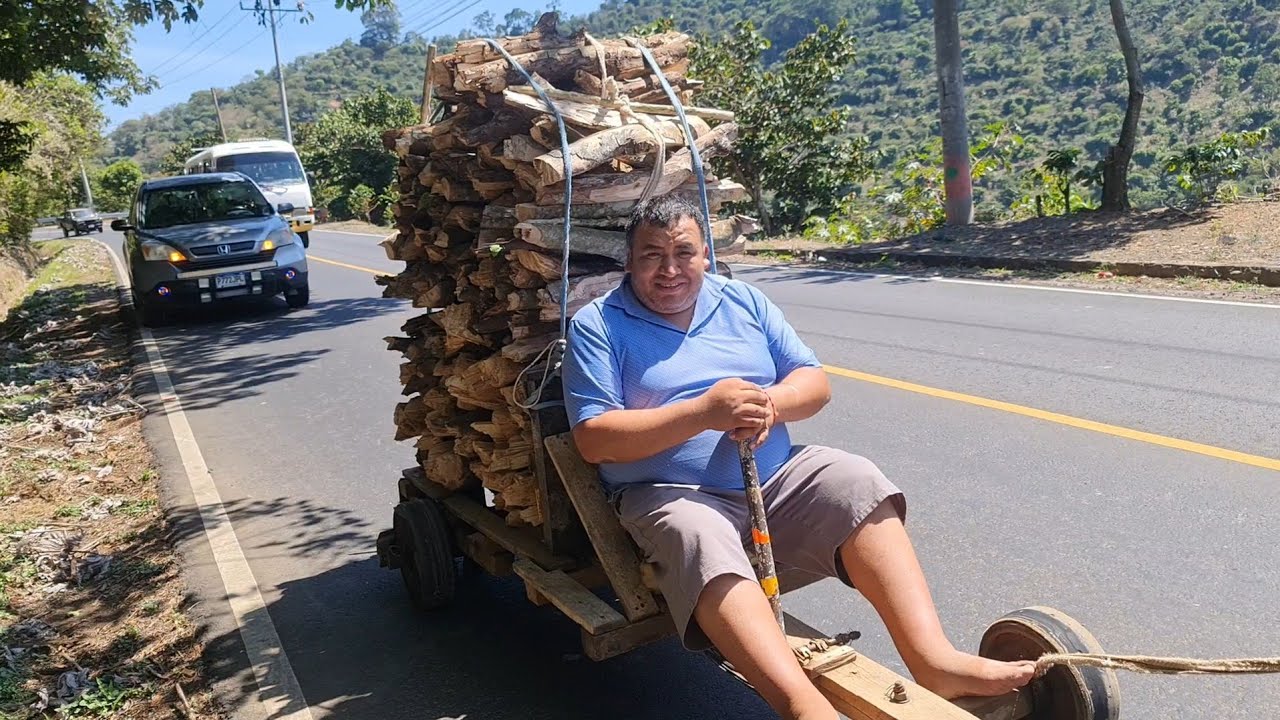 carreta de baleros carga de leña la vida rural/hombre se arriesga la vida por yevar dinero asu casa!