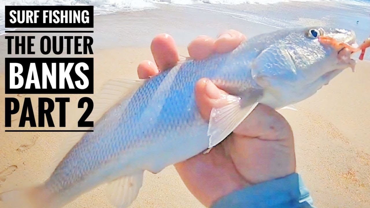 SURF FISHING the OUTER BANKS PART 2