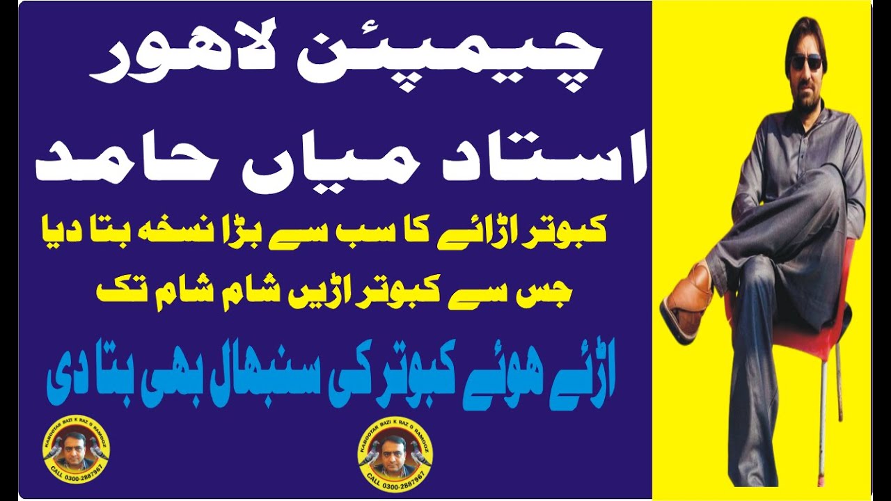 champion lahore ustad mian hamid kabootar urany ka  bara nuskha bta diya kabootar uray sham sham