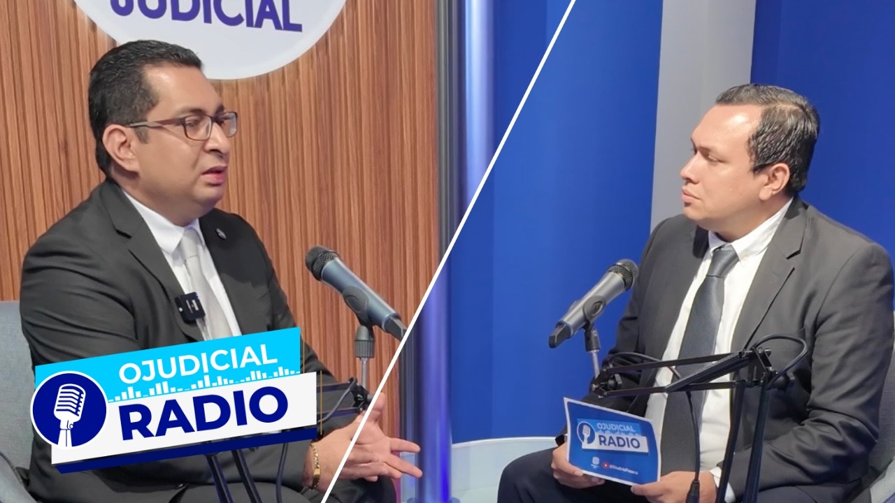 El rol de los magistrados del Tribunal Superior de Apelaciones en el sistema judicial
