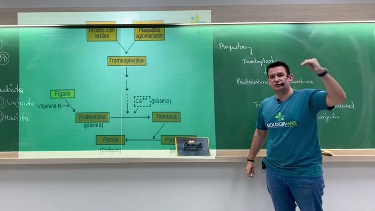 BIOLOGIA MAIS - APRENDA A COAGULAÇÃO SANGUÍNEA COM A MÚSICA DAS PLAQUETAS - PROF. FERNANDO BELAN