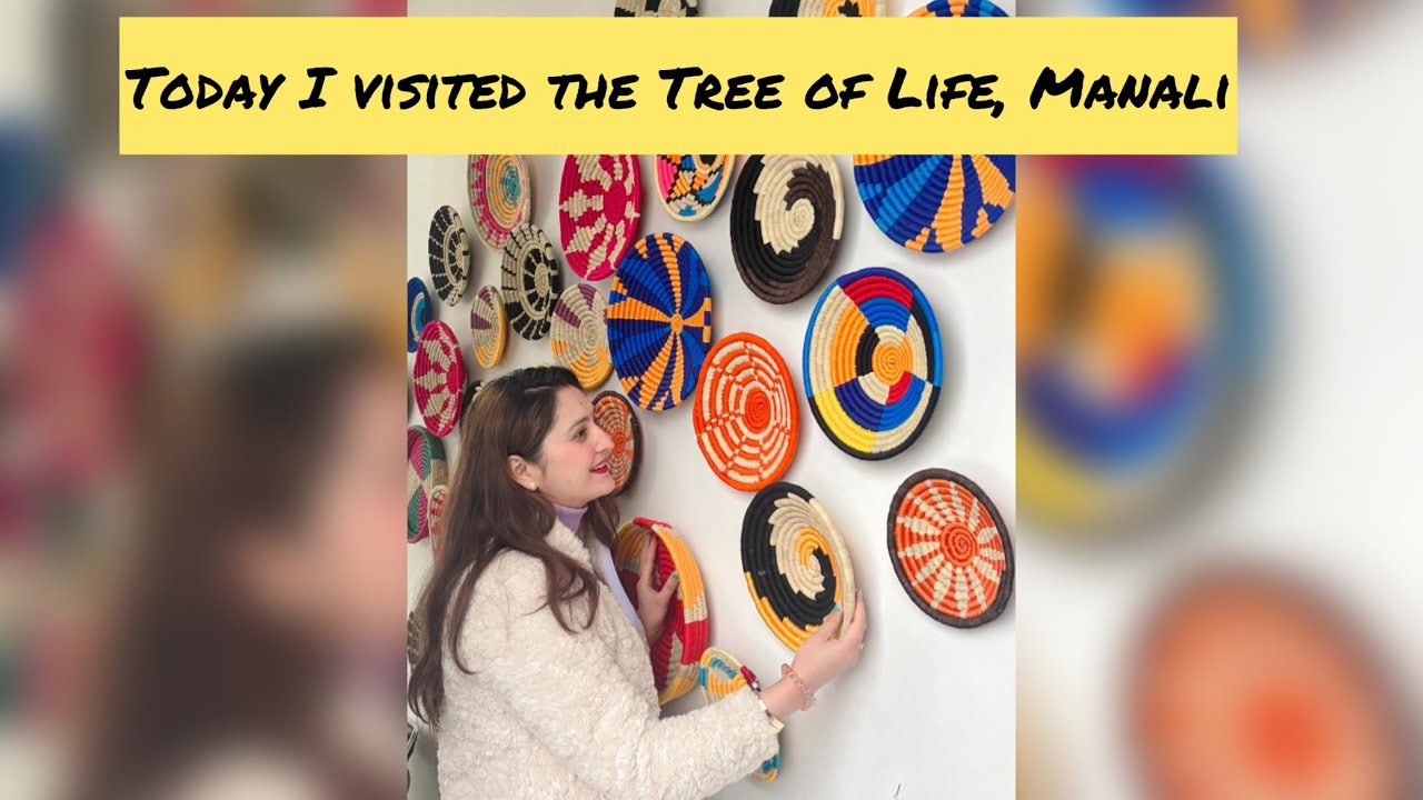 Today I visited The tree of life manali // Sunday outing #indianvloger #viralvideo #trendingvideo 