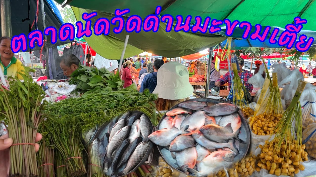 ตลาดนัดเช้าวัดด่านมะขามเตี้ย กาญจนบุรี ตลาดใหญ่มาก ซื้อผักกูดป่า ดอกกระเจียวที่นี่กินได้ ของถูกมากๆๆ
