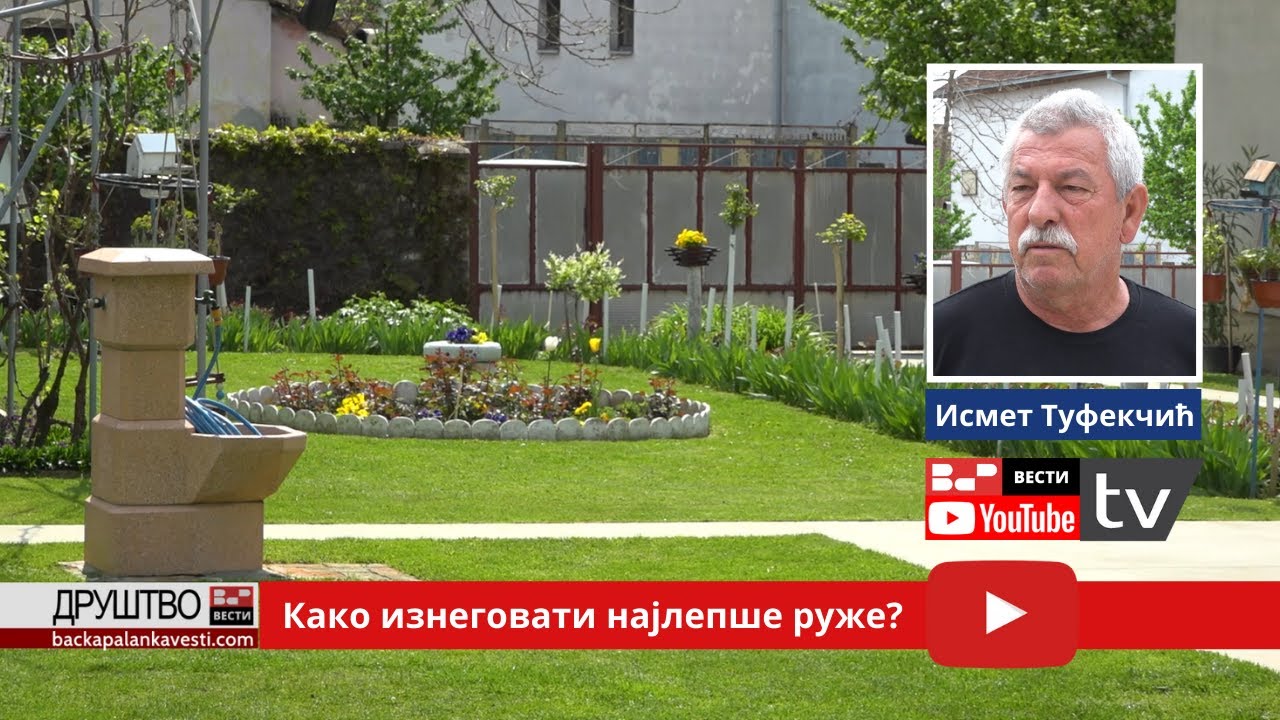 Најлепша дворишта - Исмет Туфекчић. Како изнеговати најлепше руже?