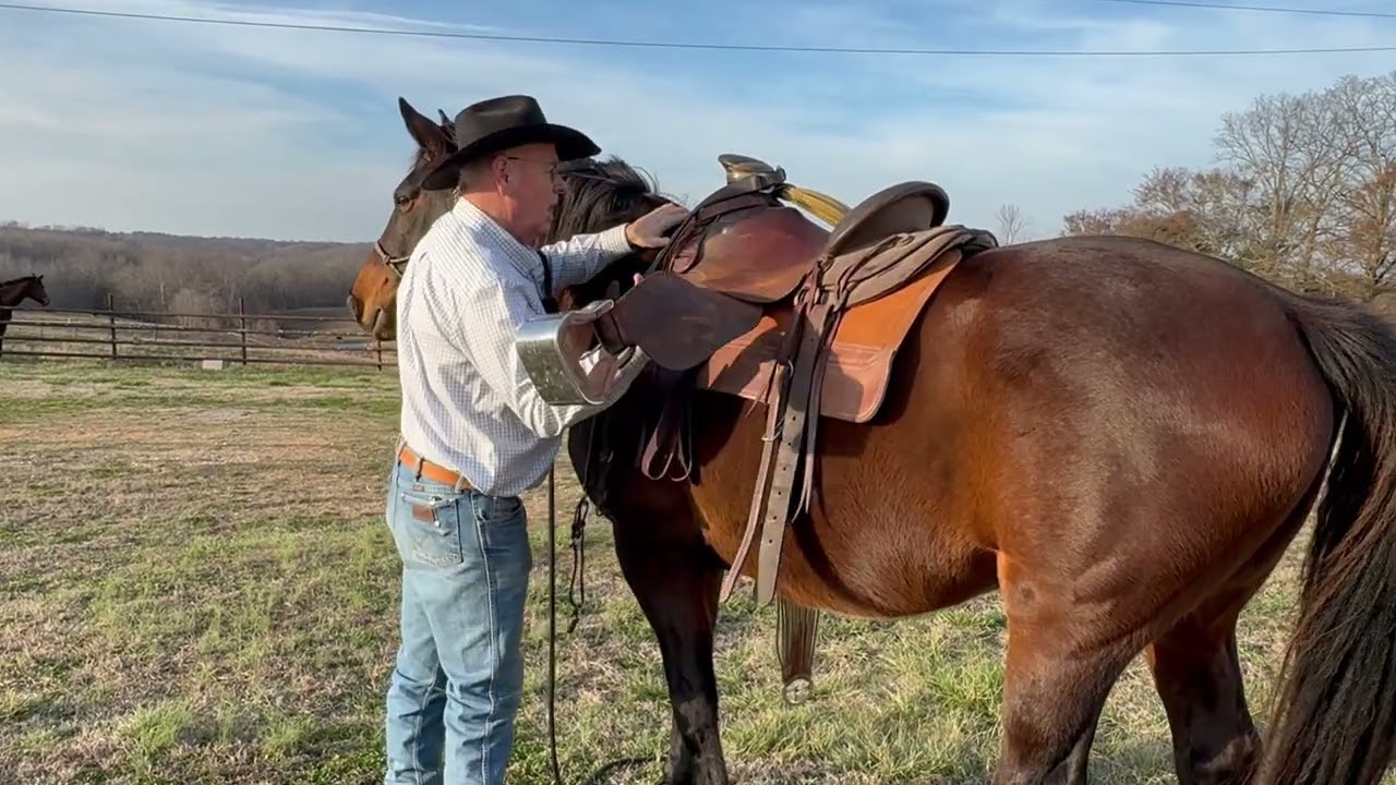 When Are You Done Halter Breaking a Horse?