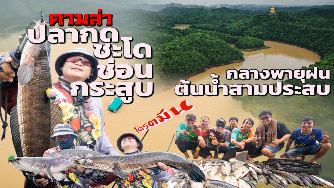 ออกล่า ปลากด ช่อน ชะโด กระสูบกลางพายุต้นน้ำสามประสบ (โครตมัน)